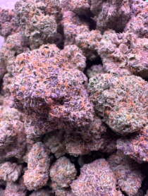 Old Crow Italian Ice Premium Indoor THCA flower